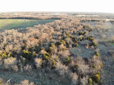 13.87AC Plainview Rd, Sherman, TX 75092 - photo 4