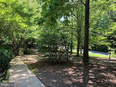 6901 Bloomsbury Ln, Spotsylvania, VA 22553 - photo 5