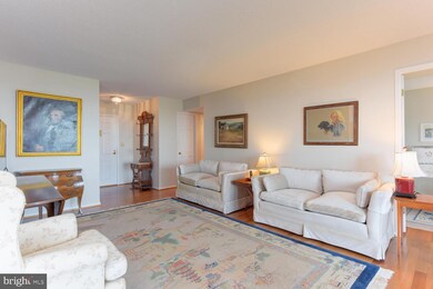 5901 Mount Eagle Dr unit 1606, Alexandria, VA 22303 - photo 3