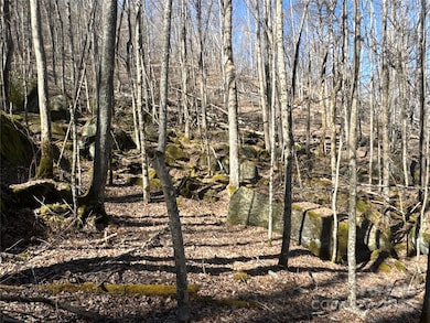 00 Beech Thicket Springs Rd unit 41, Bakersville, NC 28705 - photo 7