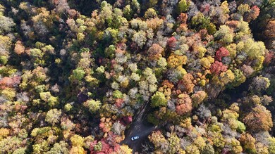 0 Braughler Rd unit 25589570, Grant Township, PA 15771 - photo 7