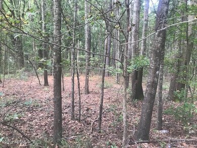 Tbd Horse Pen Circle.1jpg
