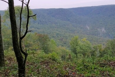 0 High Point Ln unit 1326155, Jasper, TN 37347 - photo 4