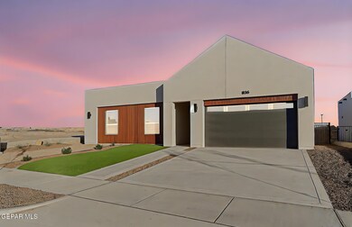 2-web-or-mls-IMG_1876 day to dusk