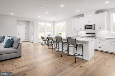 18334 Chutnee Run Dr, Leesburg, VA 20176 - photo 3