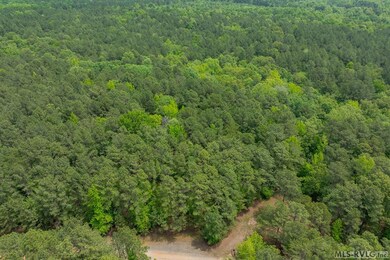 119 Kings Branch Ct, Littleton, NC 27850 - photo 7