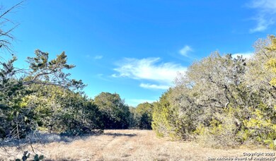 1105 County Road 245, Hondo, TX 78861 - photo 6