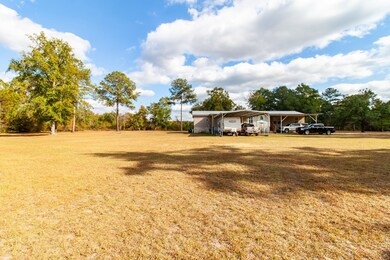 317 Palmer Rd, Bainbridge, GA 39817 - photo 7