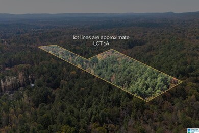 284 Nichols Rd, Chelsea, AL 35043 - photo 3