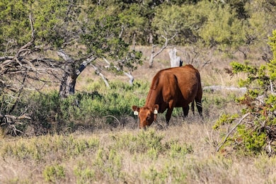 Berry Dairy Rd, Bryson, TX 76427 - photo 3
