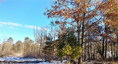 26490 Helsene Rd, Webster, WI 54893 - photo 2