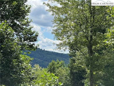 TBD Bryan Davis Rd, Creston, NC 28615 - photo 4