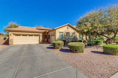 02-Ocotillo