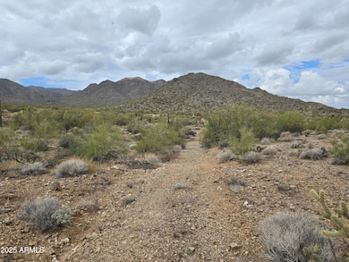 0 Critic Mine -- unit 6925996, Wenden, AZ 85357 - photo 3