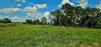 0 Mammoth Grove Rd unit MFRP4935027, Lake Wales, FL 33898 - photo 7