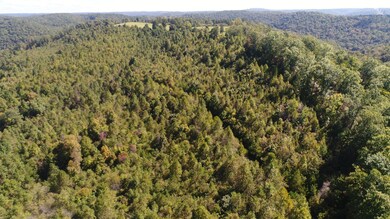 200 Wesley Chapel Rd, Somerset, KY 42501 - photo 5