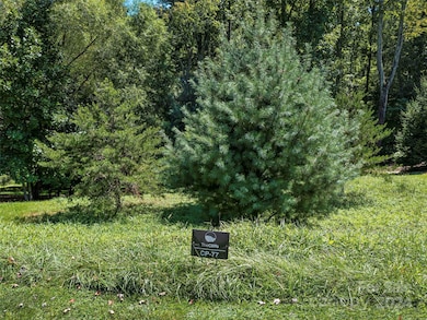 19 Mountain Orchid Way unit 77, Arden, NC 28704 - photo 2
