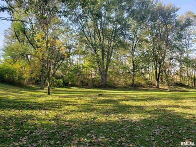 5625 W 46th St, Davenport, IA 52806 - photo 4