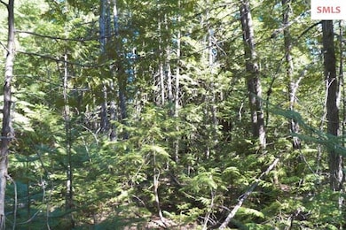 Heavily Treed