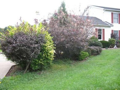 Yard/Garden