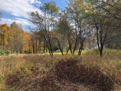 111 Gib Lockerby Rd, Grafton, VT 05146 - photo 5