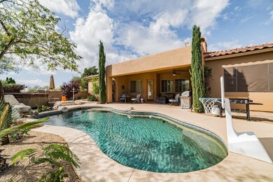 pebble tec pool w/self cleaner