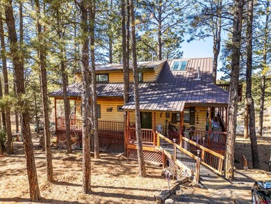 900 Spring Rd, Durango, CO 81303 - photo 2