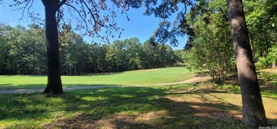 Lot 11 Birchbrook - Eden Isle, Heber Springs, AR 72543 - photo 3