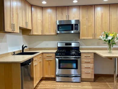 5145 Washington St unit 2, Downers Grove, IL 60515 - photo 3