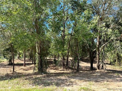 3190 N Chameleon Point, Crystal River, FL 34428 - photo 3