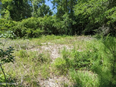 Lot 11 Andrews DR #3