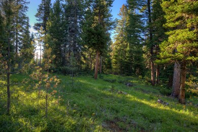 Lot 16 Elk Ridge Ranch, Big Sky, MT 59716 - photo 3