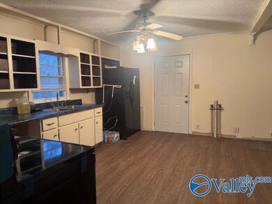 765 Long Hollow Rd, Scottsboro, AL 35768 - photo 4