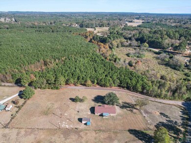 1069 Lilac Ln, Gilmer, TX 75645 - photo 6