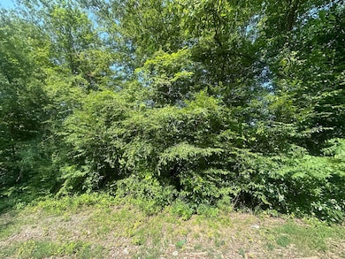 49 Rock Springs Rd, Celina, TN 38551 - photo 2