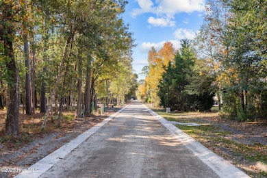 116 Stones Throw, Wilmington, NC 28411 - photo 3