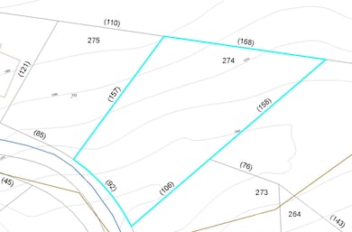 Lot 274 Whitman Ct unit 274, Taylorsville, NC 28681 - photo 3