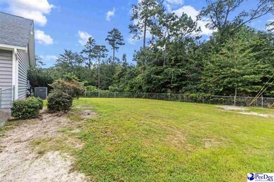 4867 Wolf Trail, Conway, SC 29527 - photo 4