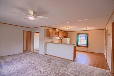 50 Ramona Dr, Leicester, NC 28748 - photo 3