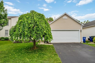 front yard