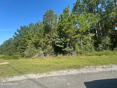 0 Mary Cochran Rd, Lucedale, MS 39452 - photo 7