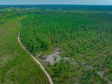 Hunting Swamp Rd, Conway, SC 29526 - photo 2