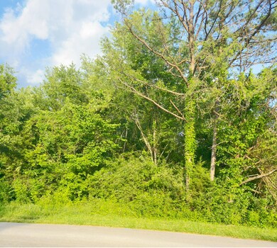 860 Stone Gate Dr, Burnside, KY 42519 - photo 4