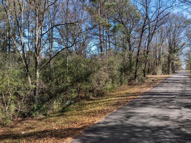 00 W Magnolia Ln, Taylorsville, MS 39168 - photo 4