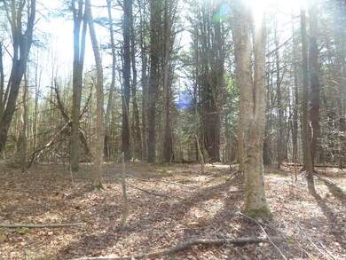 167 West Rd, Bernardston, MA 01337 - photo 4