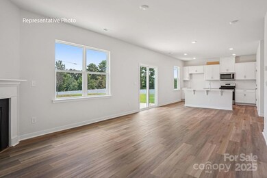 4586 Harris Elliot Rd, Lincolnton, NC 28092 - photo 5