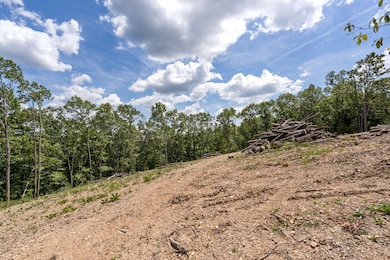 Tbd State Highway Y, Galena, MO 65656 - photo 3