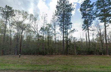 0 Lavaca Ln unit 25564660, Dayton Lakes, TX 77535 - photo 5