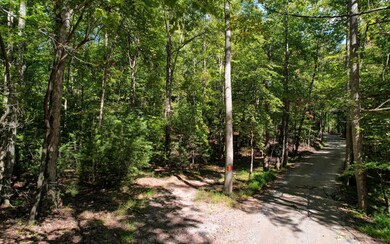 Additional View
