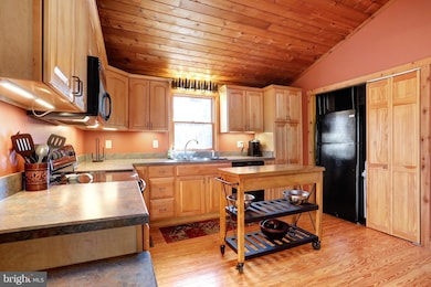 441 Over The Hill Ln, Berkeley Springs, WV 25411 - photo 7